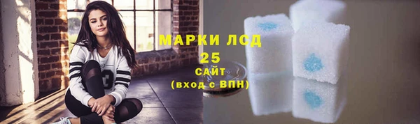 прущий лед Каменка