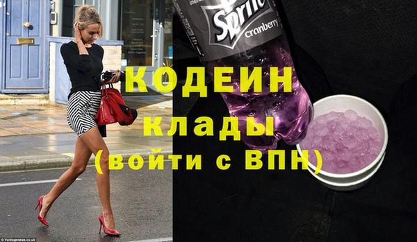 стаф Инта
