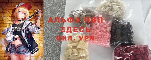 стаф Инта