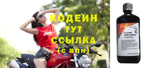 прущий лед Каменка