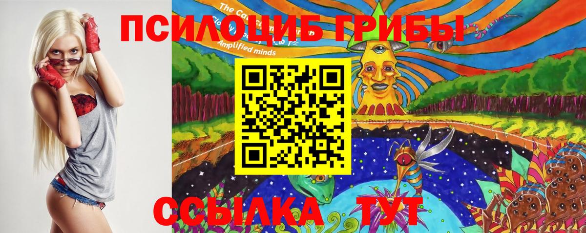 Кириши  Псилоцибиновые грибы мицелий  Вход с VPN  Галлюциногенные грибы Cubensis 